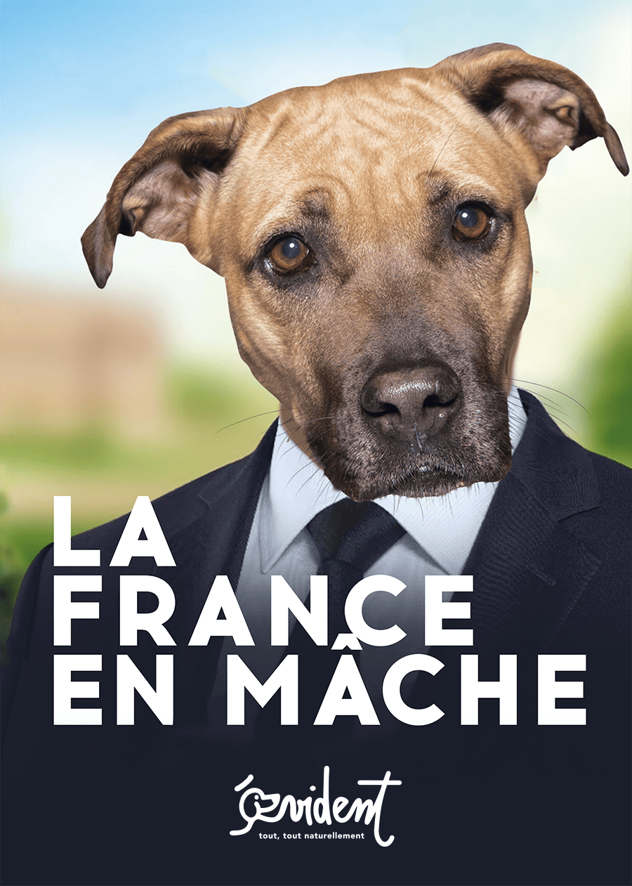 Candidat de la France en Mâche
